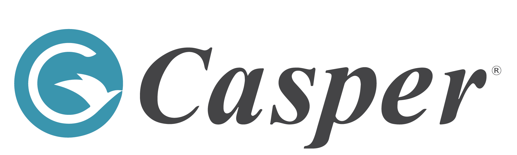 CÔNG TY CỔ PHẦN CASPER VIỆT NAM