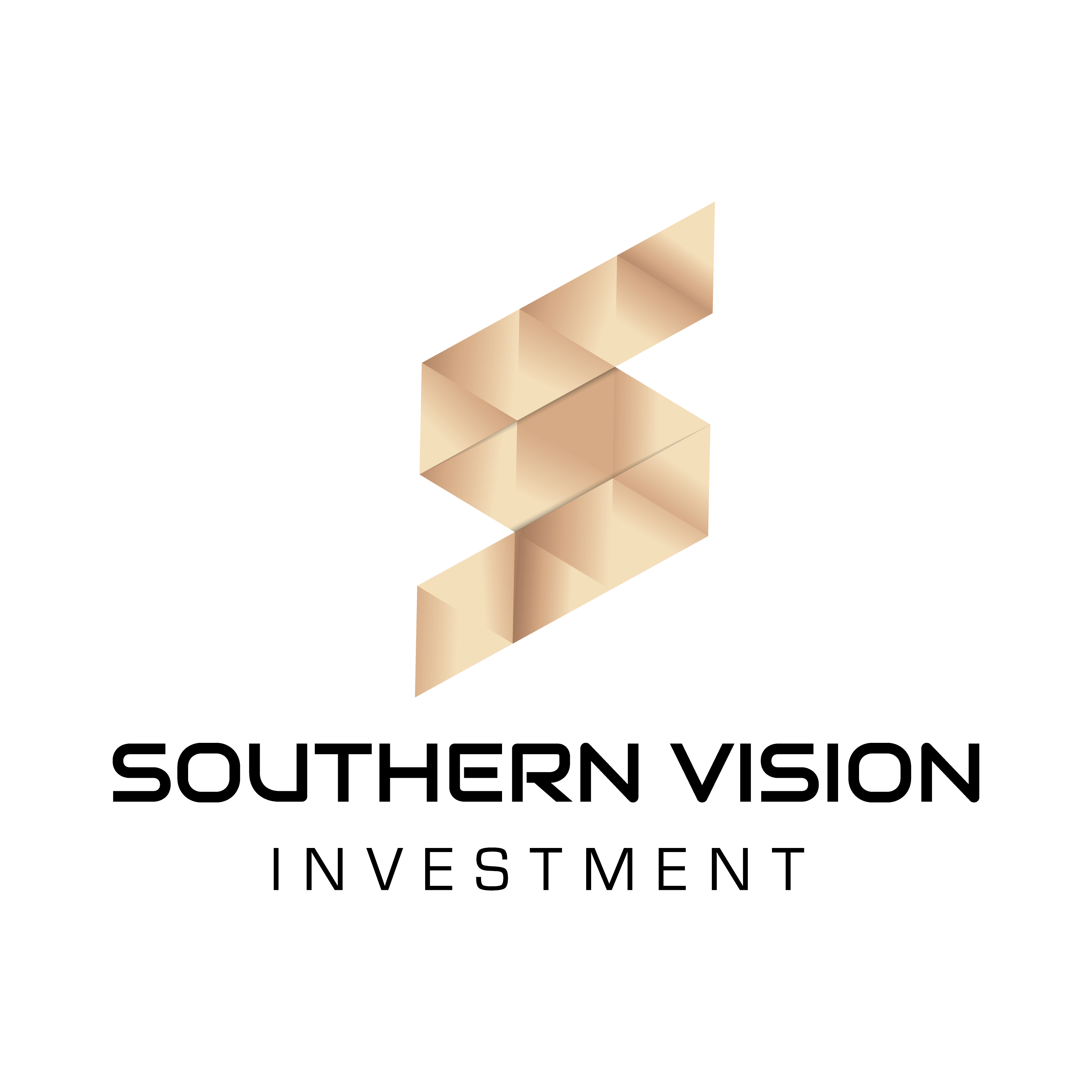 CÔNG TY CỔ PHẦN ĐẦU TƯ TẦM NHÌN PHƯƠNG NAM