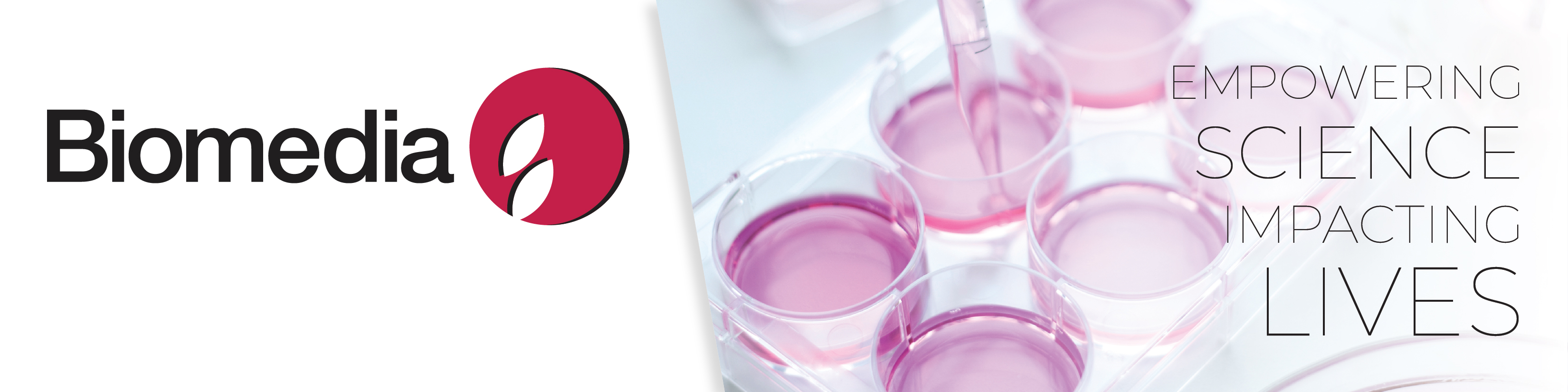 QT Instruments (S) Vietnam