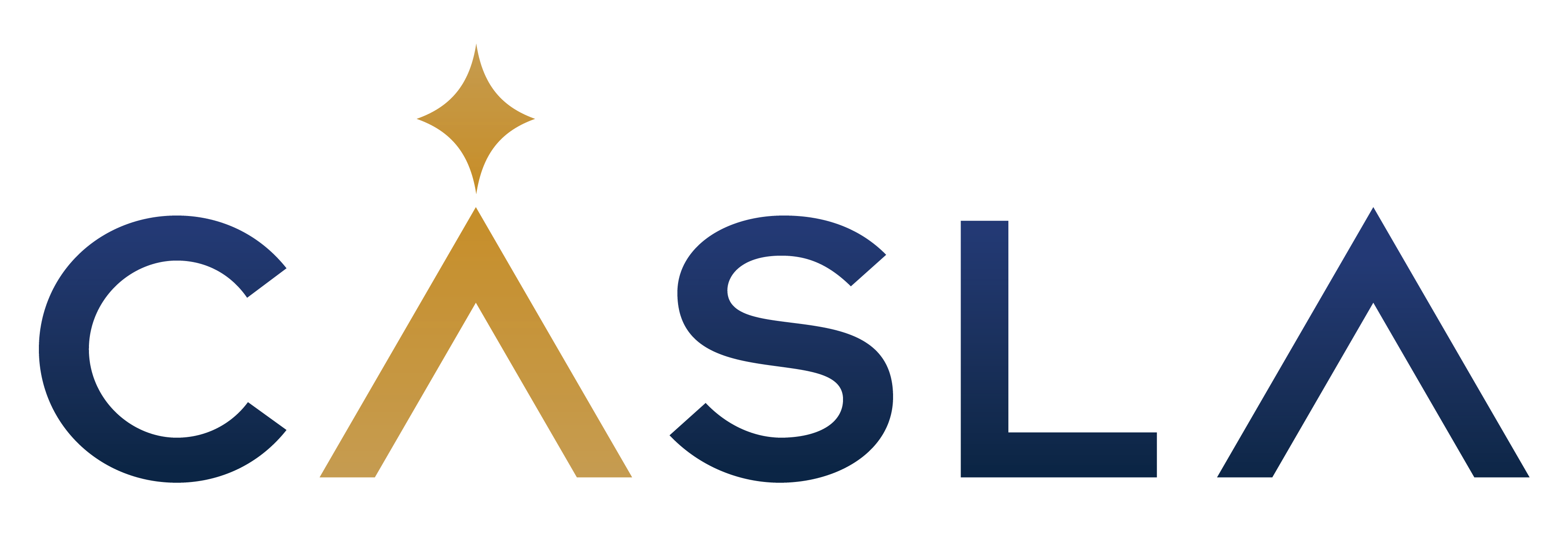 Công ty Cổ phần Casla