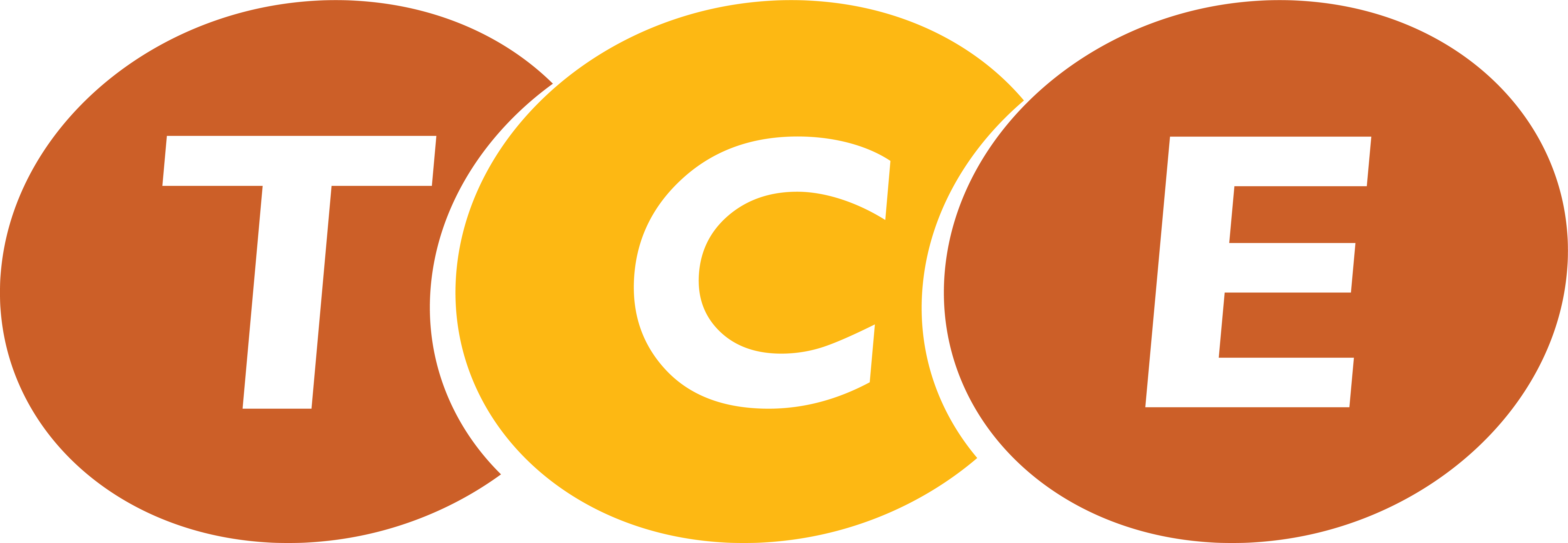 CÔNG TY CP THIẾT BỊ VÀ DỊCH VỤ TCE