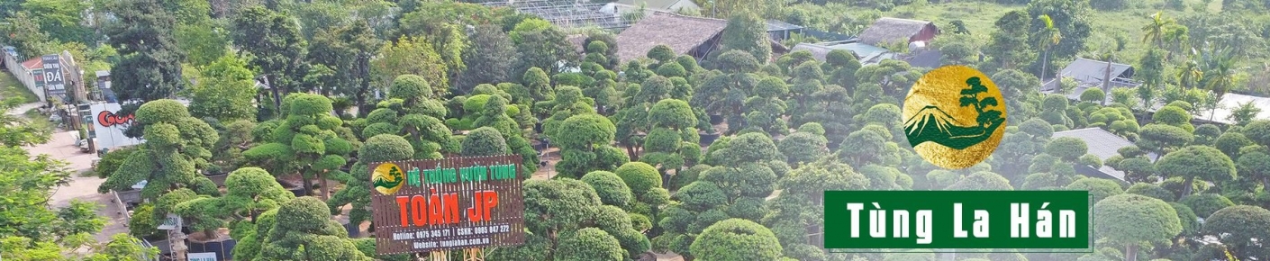 HỆ THỐNG VƯỜN TÙNG TOÀN JP