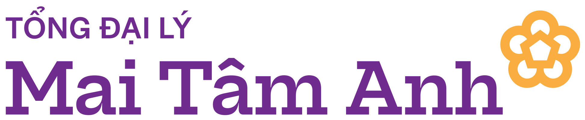 CÔNG TY TNHH ĐẦU TƯ MAI TÂM ANH