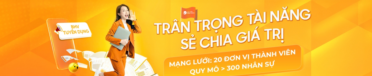 TỔNG CÔNG TY CỔ PHẦN BẢO HIỂM HÙNG VƯƠNG