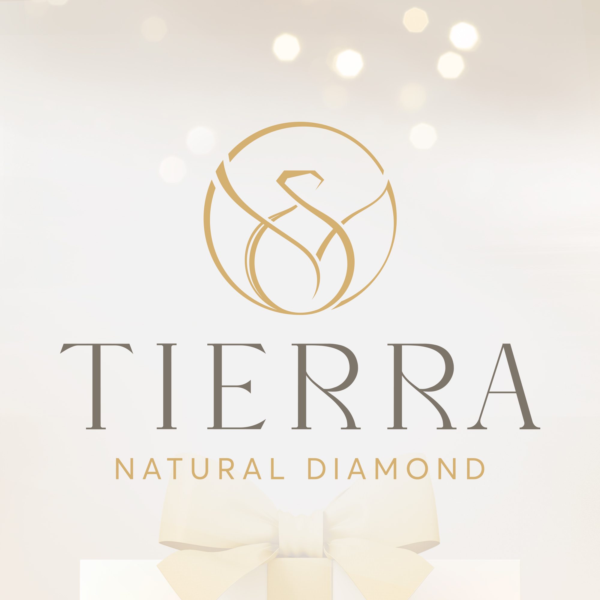 Công ty Cổ phần Tierra