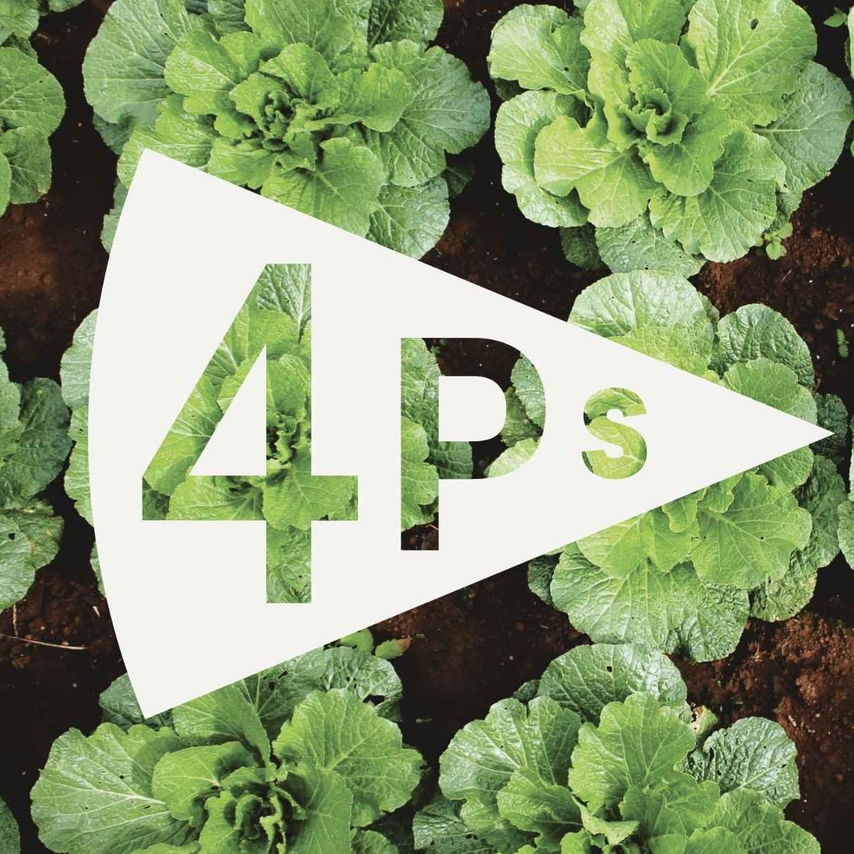 CÔNG TY CỔ PHẦN PIZZA 4PS