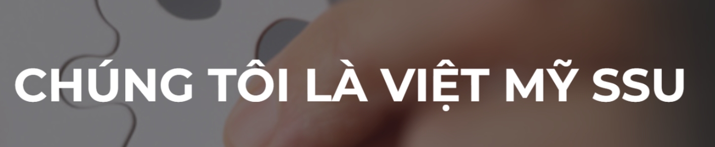 Công Ty TNHH Việt Mỹ-SSU