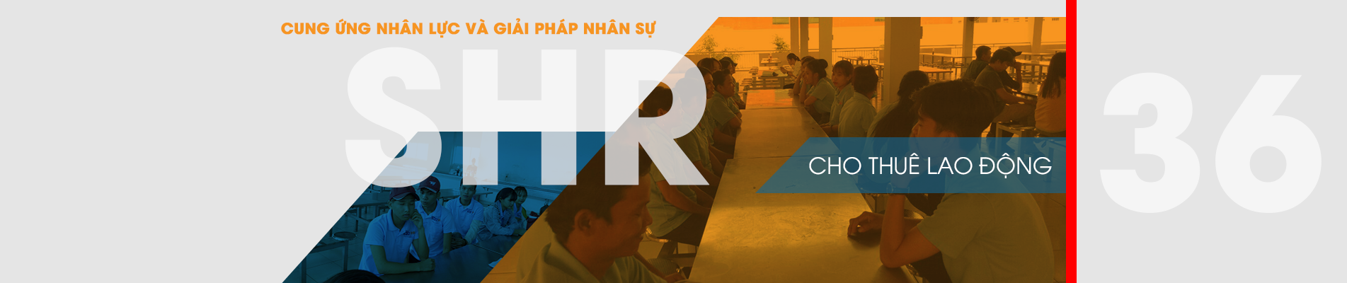 CÔNG TY TNHH ĐẦU TƯ VÀ PHÁT TRIỂN NGUỒN NHÂN LỰC 365 SHR