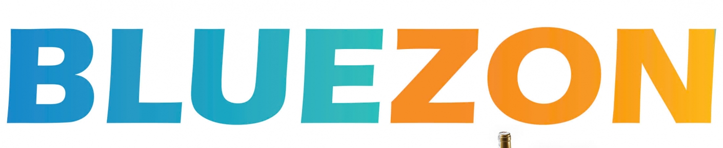 CÔNG TY TNHH BLUEZON GLOBAL