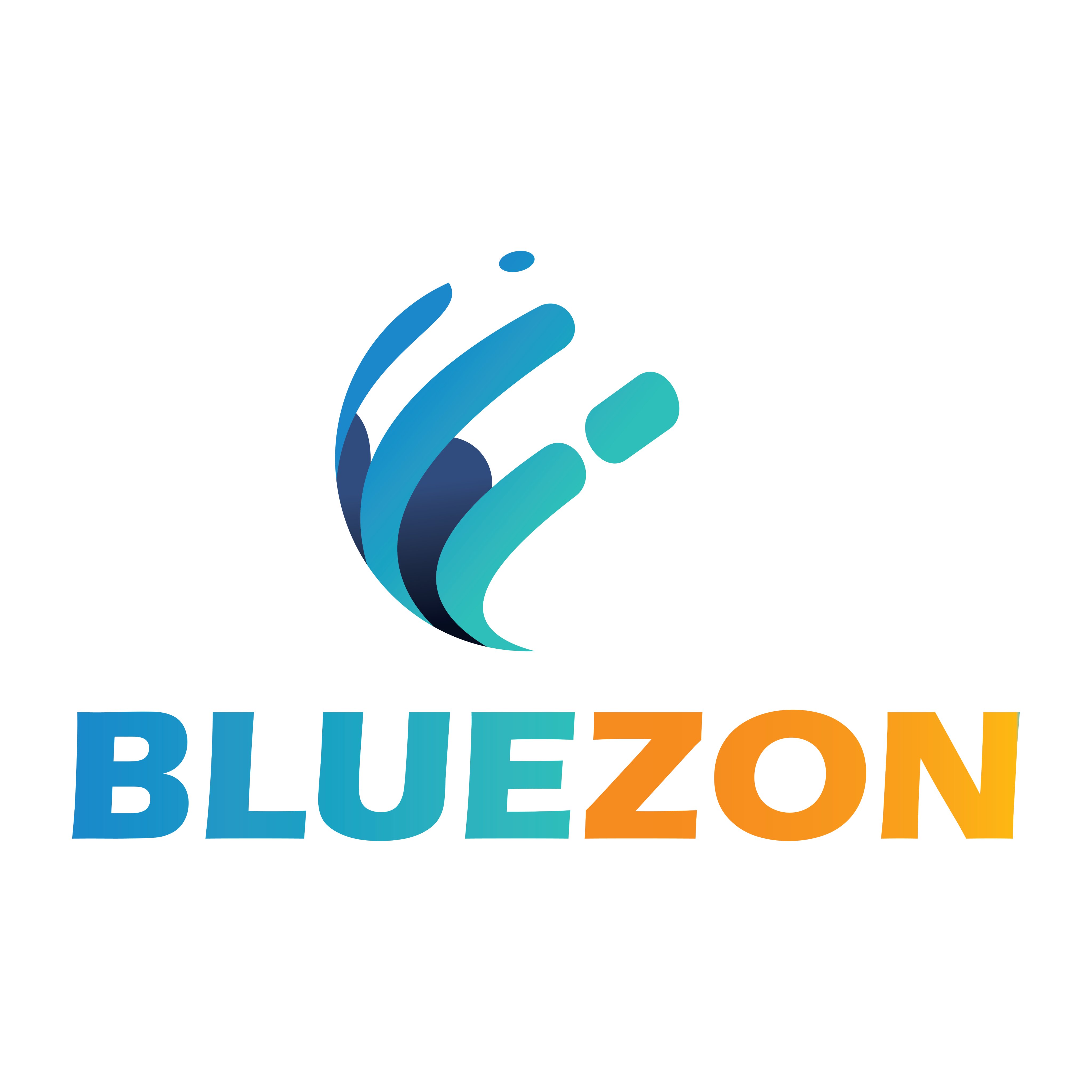 CÔNG TY TNHH BLUEZON GLOBAL