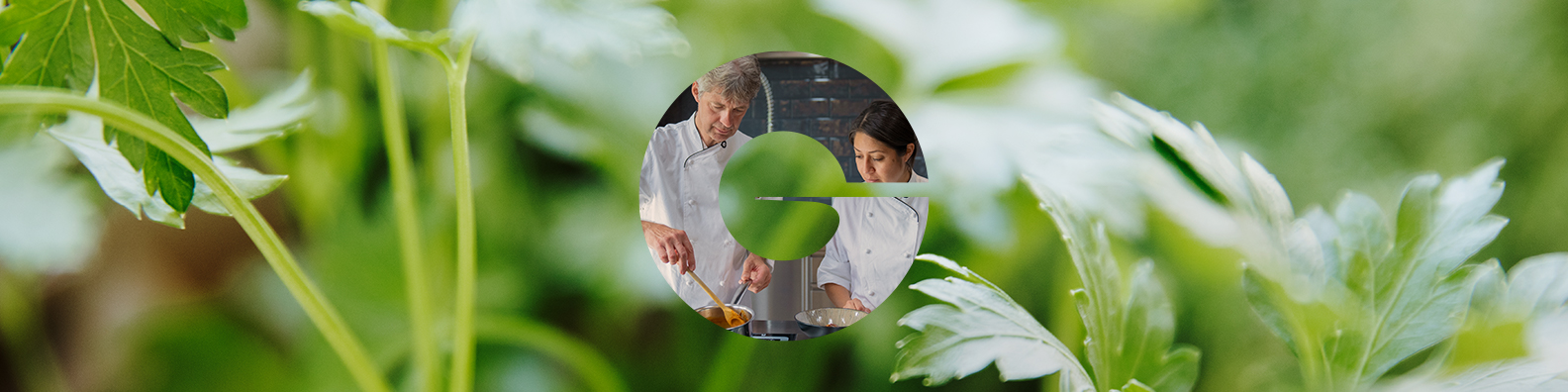 CÔNG TY TNHH GIVAUDAN VIỆT NAM