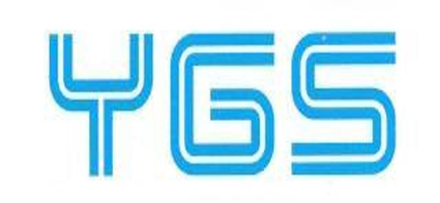 Công Ty Trách Nhiệm Hữu Hạn Một Thành Viên YGS Vina