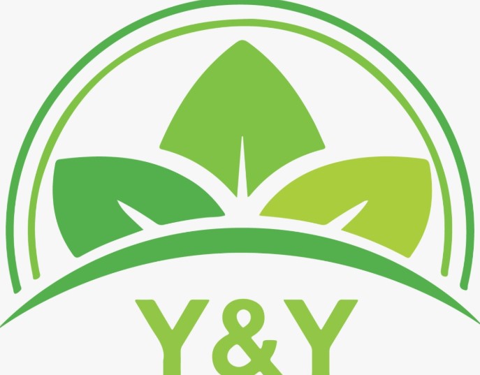 CÔNG TY CỔ PHẦN Y&Y GROUP
