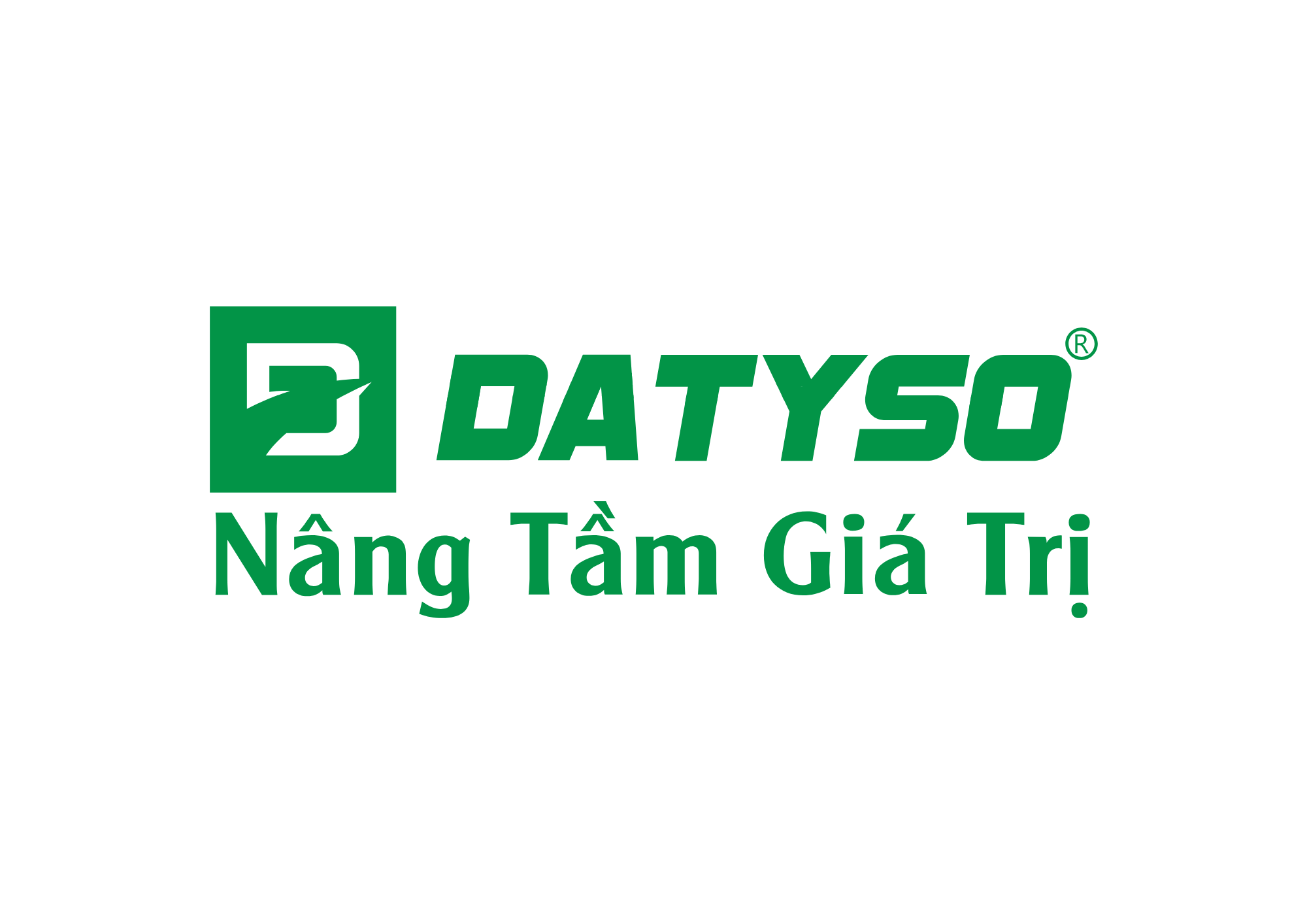 CÔNG TY CỔ PHẦN DATYSO VIỆT NAM