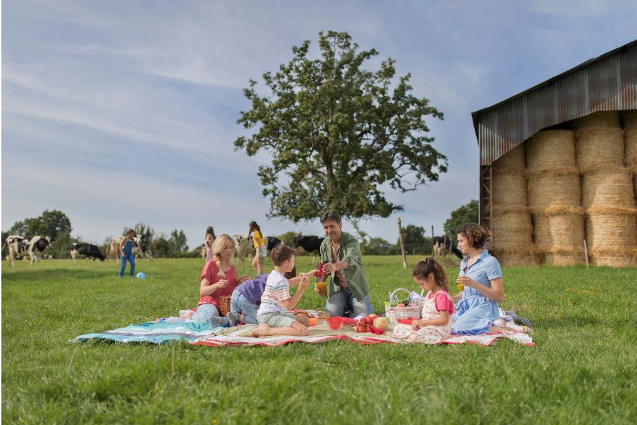 Công ty TNHH Bel Việt Nam