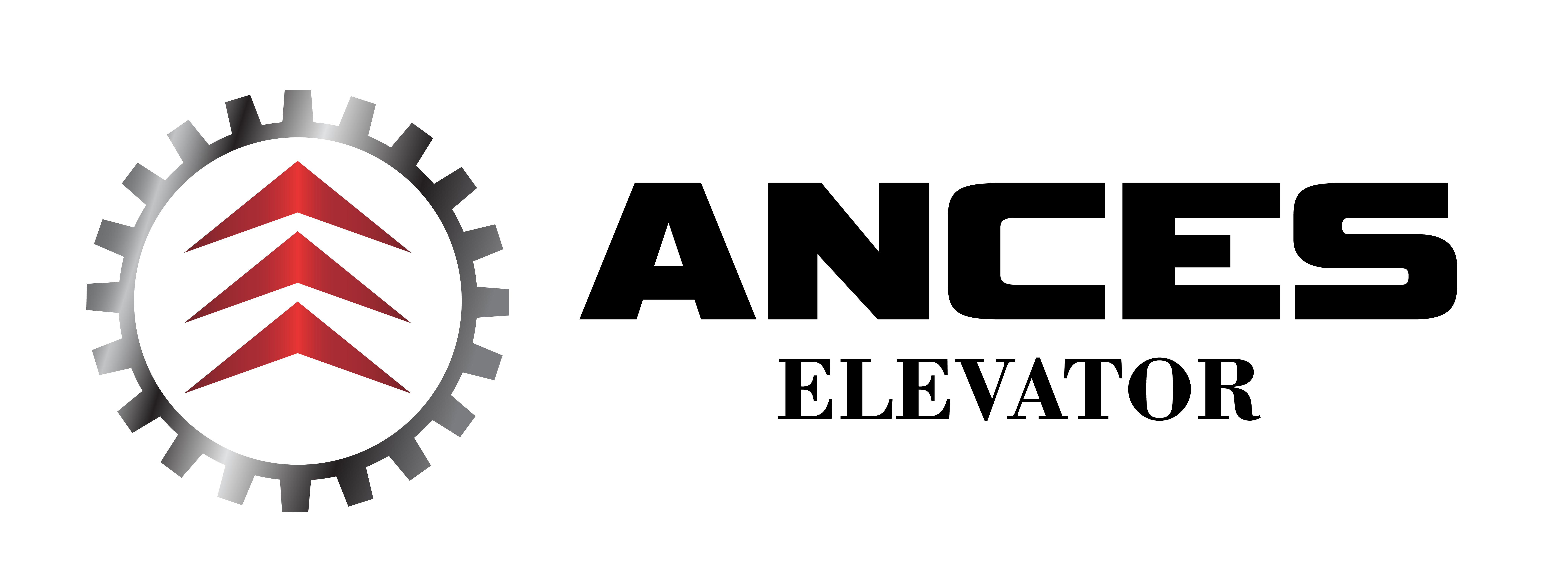 Công ty TNHH Ances Việt Nam
