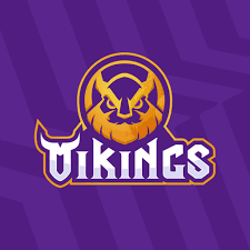 Công ty Cổ phần Vikings Việt Nam