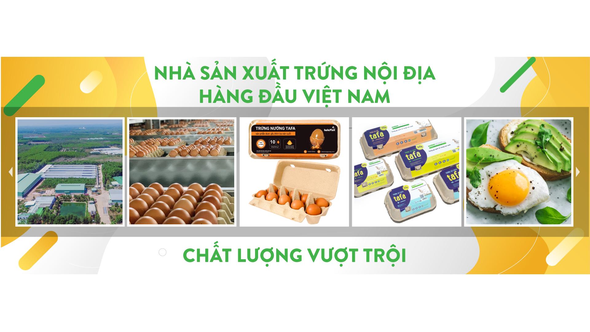 CÔNG TY CỔ PHẦN CHĂN NUÔI TAFA VIỆT