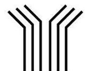 CÔNG TY TNHH GPFC.VN