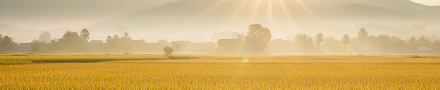 CÔNG TY CỔ PHẦN HASA BIO FOODS