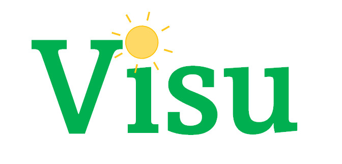 VISU COMPANY LIMITED