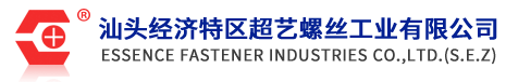CÔNG TY TNHH CÔNG NGHỆ ESSENCE FASTENER VIỆT NAM