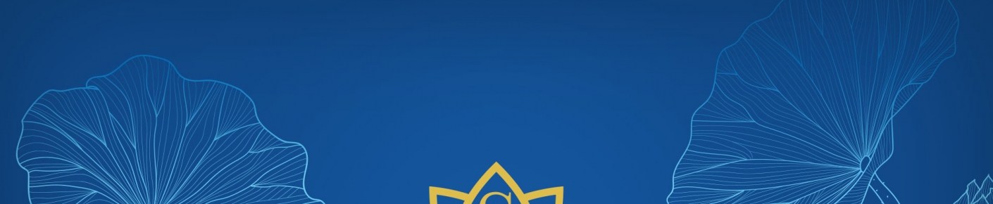 CÔNG TY CỔ PHẦN TẬP ĐOÀN SENGROUP