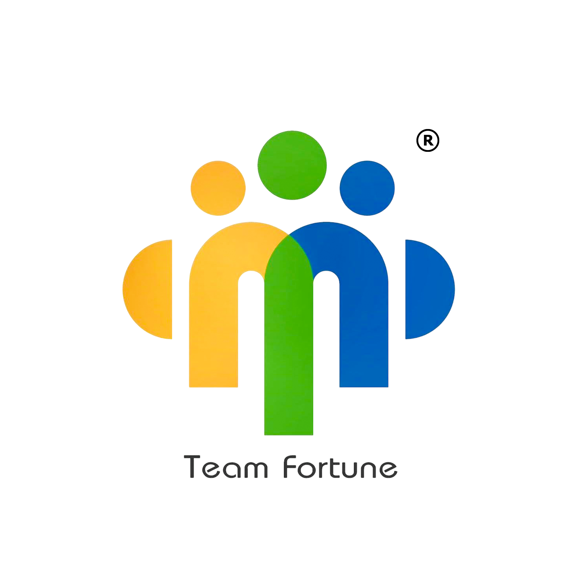 CÔNG TY CỔ PHẦN TEAM FORTUNE VIỆT NAM