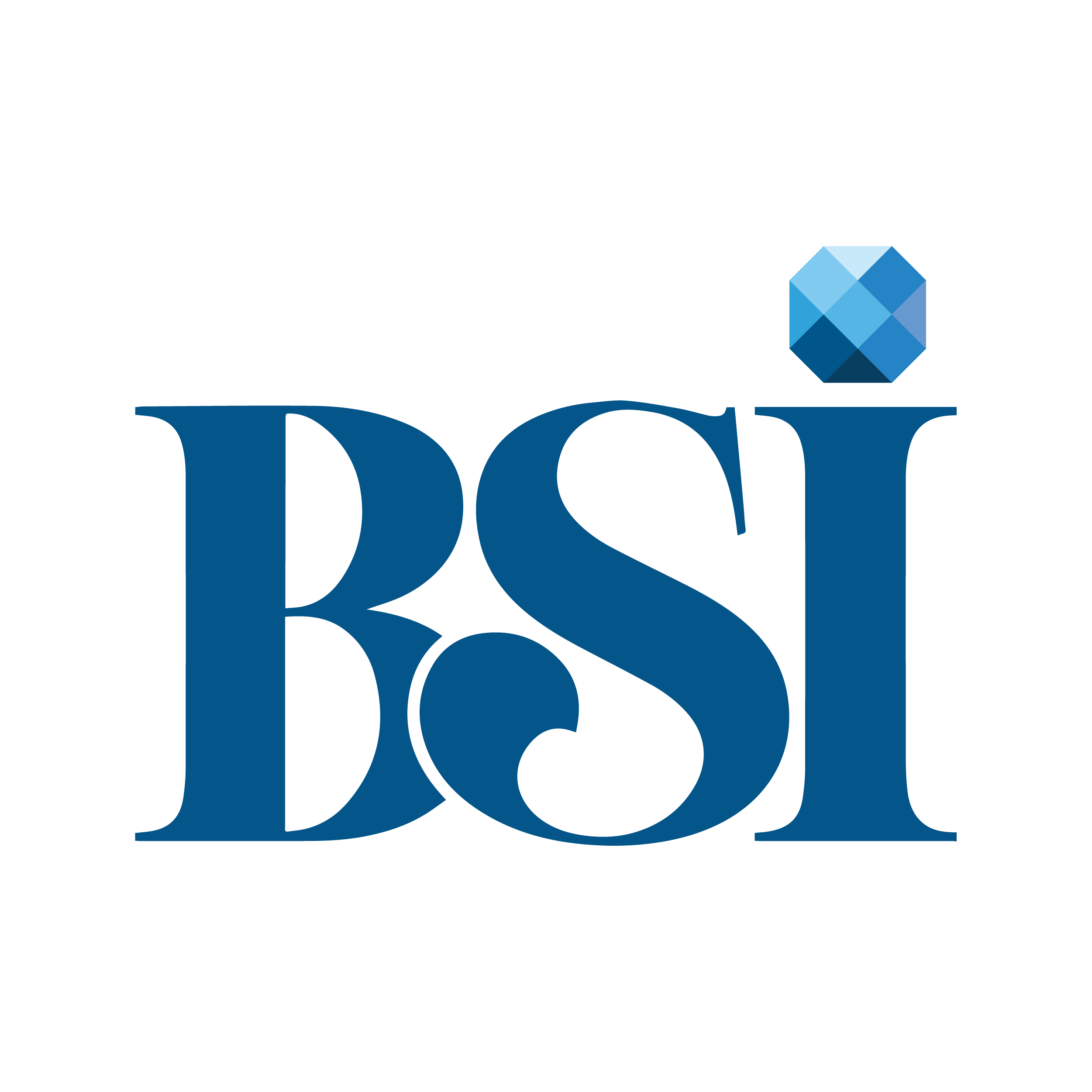 BSI GROUP