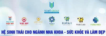 VI MỸ GROUP