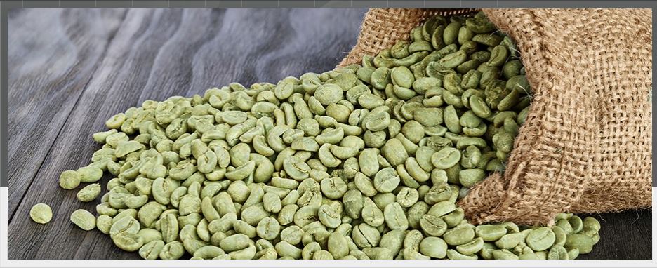 Coffein Compagnie Vietnam Co. Ltd