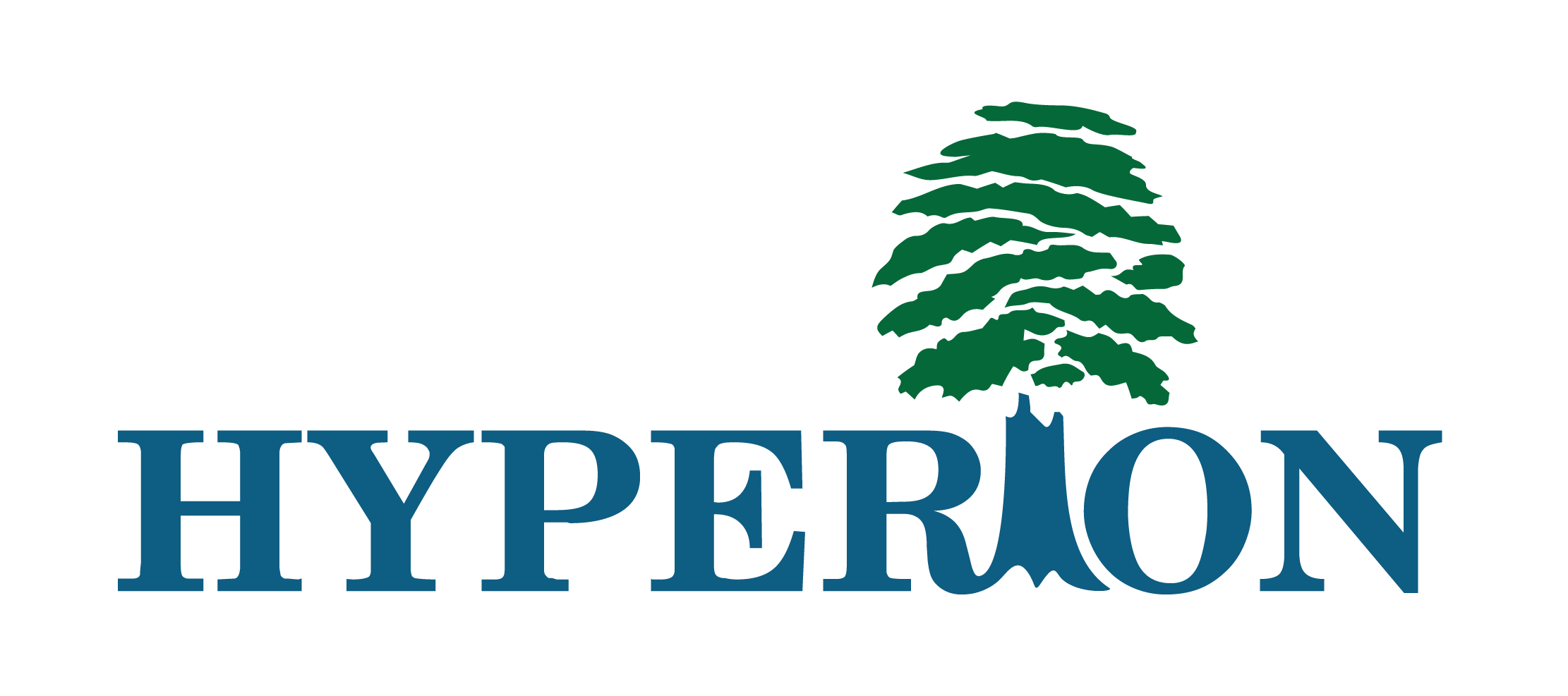 HYPERION CO., LTD