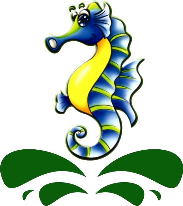 CTY TNHH SITTO VIỆT NAM